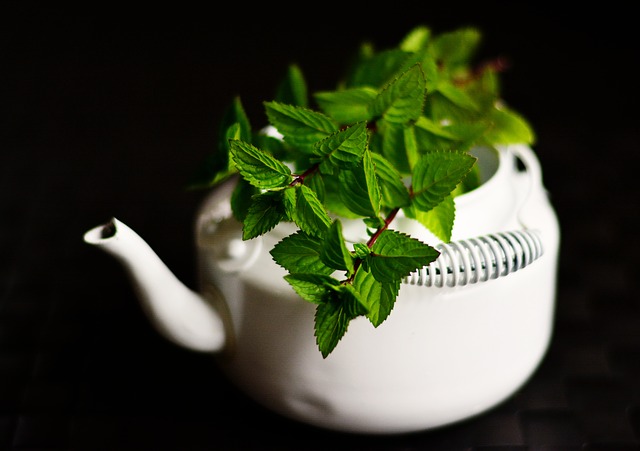 Boost Your Metabolism and Burn Fat With Green Tea